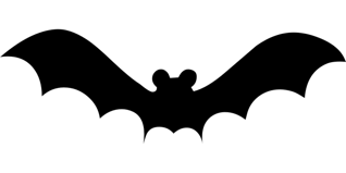 Waldkita Fledermäuse