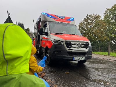 Kita Ritternest