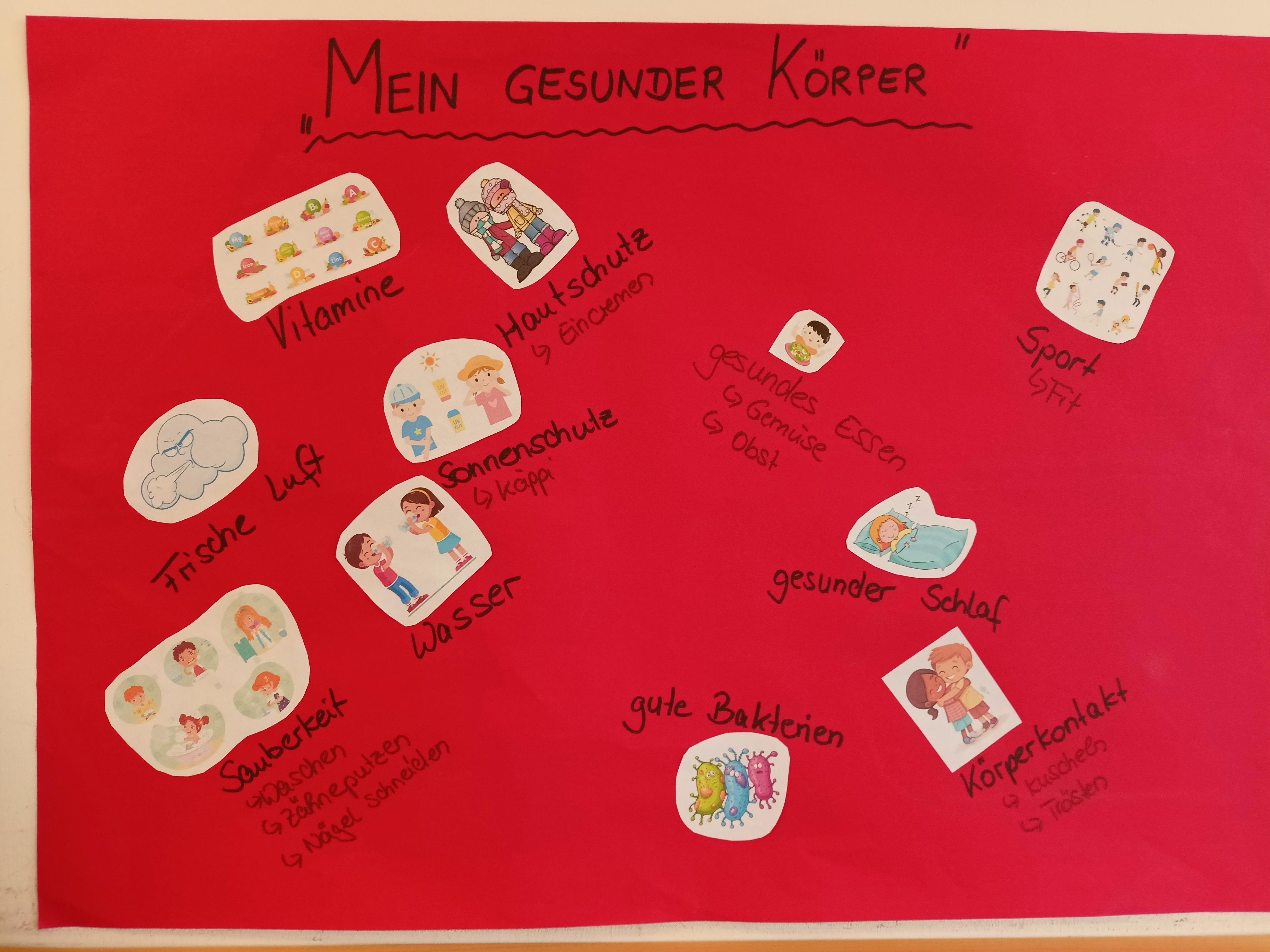 Mein gesunder Körper 8