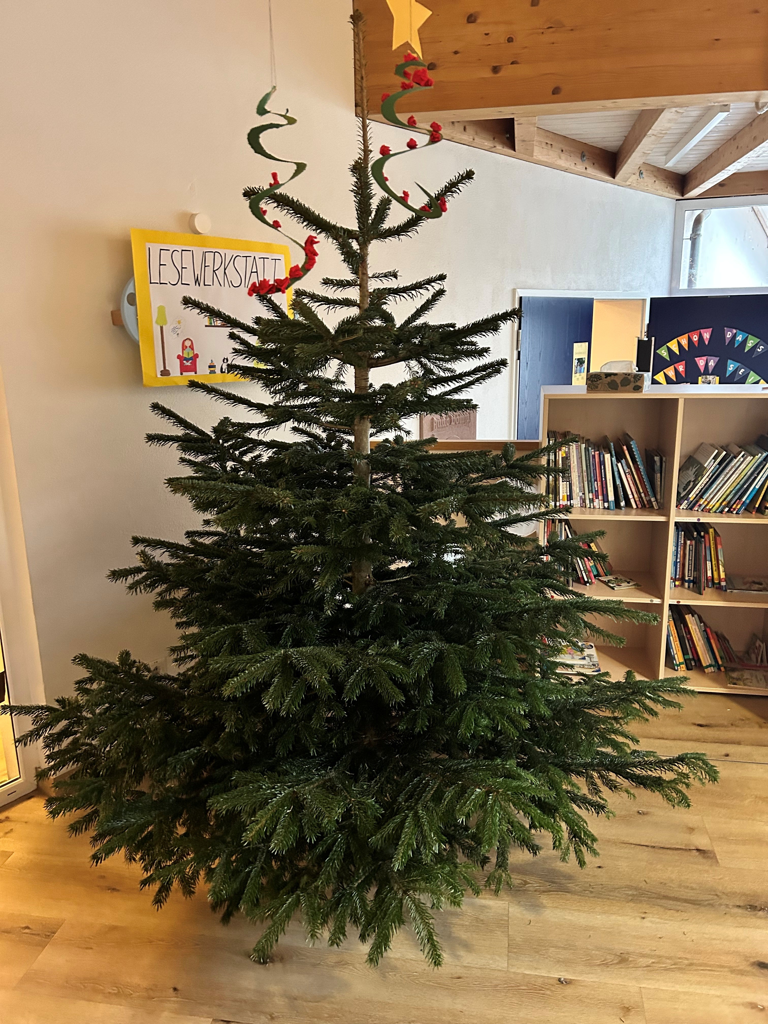 Tannenbaum_un