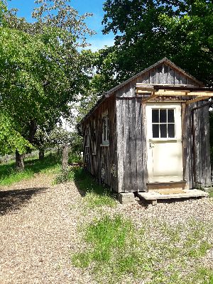 Naturkindergarten "Die Wildbienen"