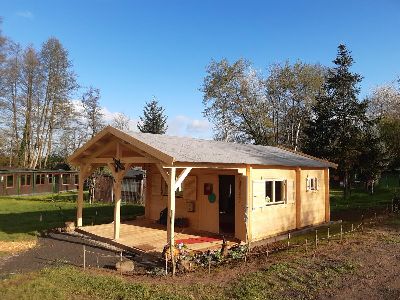 Die wilden Kolkraben