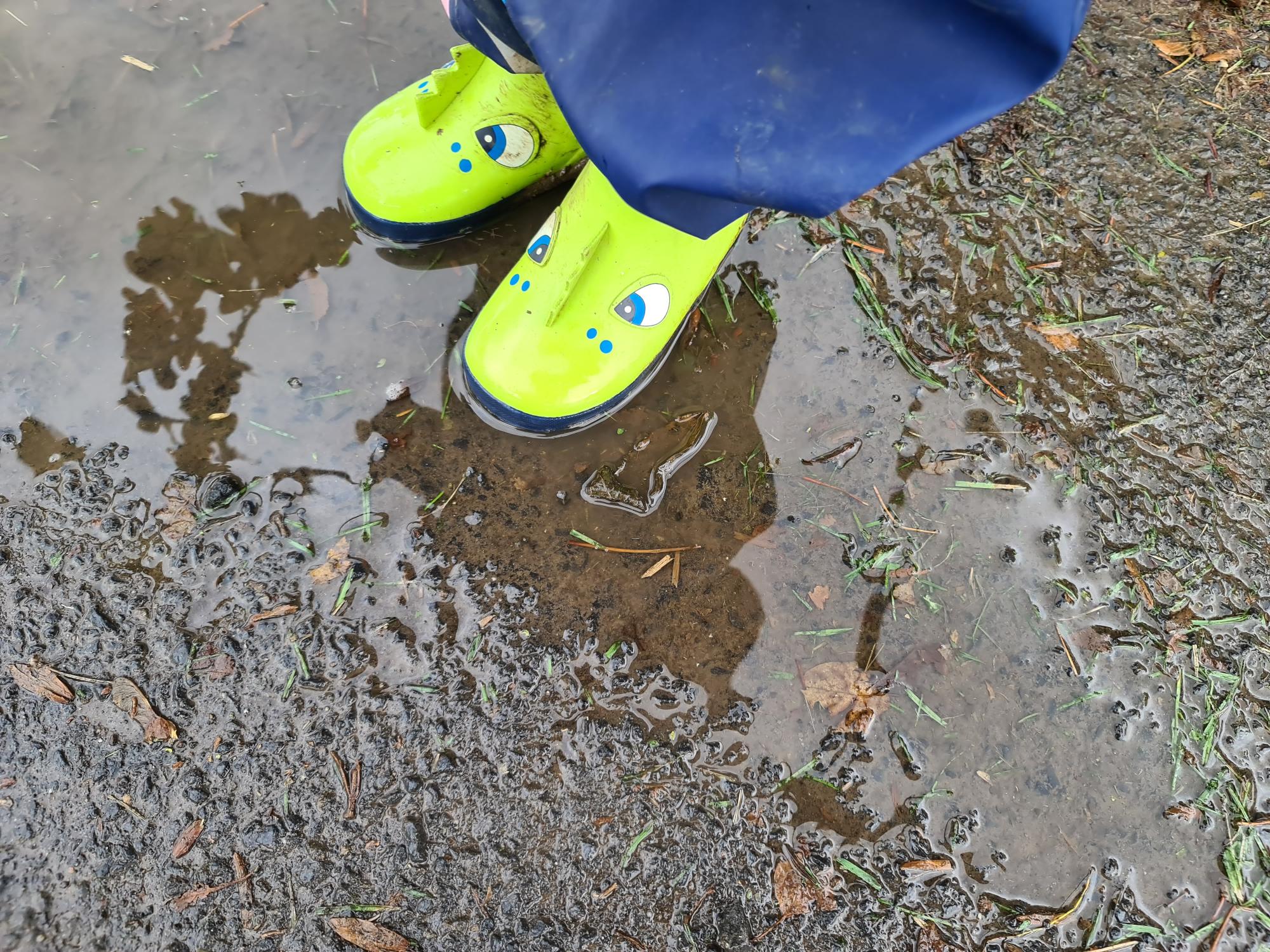 Gummistiefel