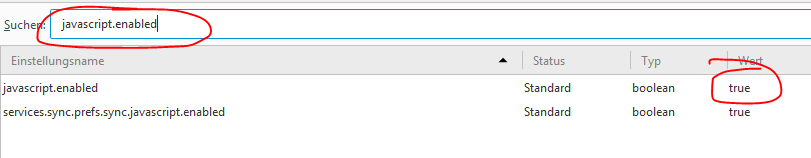 javascript.enabled auf true schalten