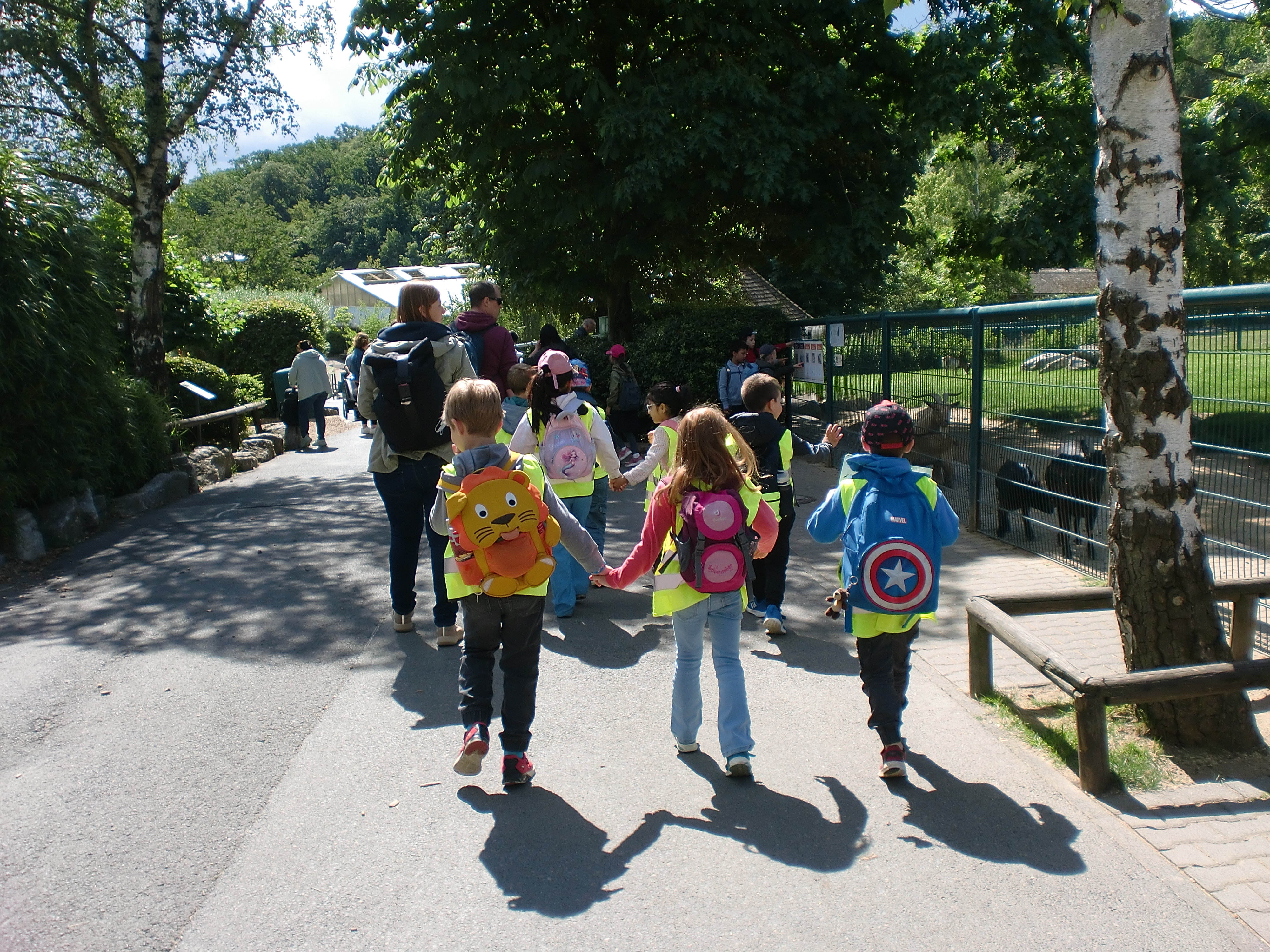 Foto von mehreren Kindern die durch den Zoo spazieren