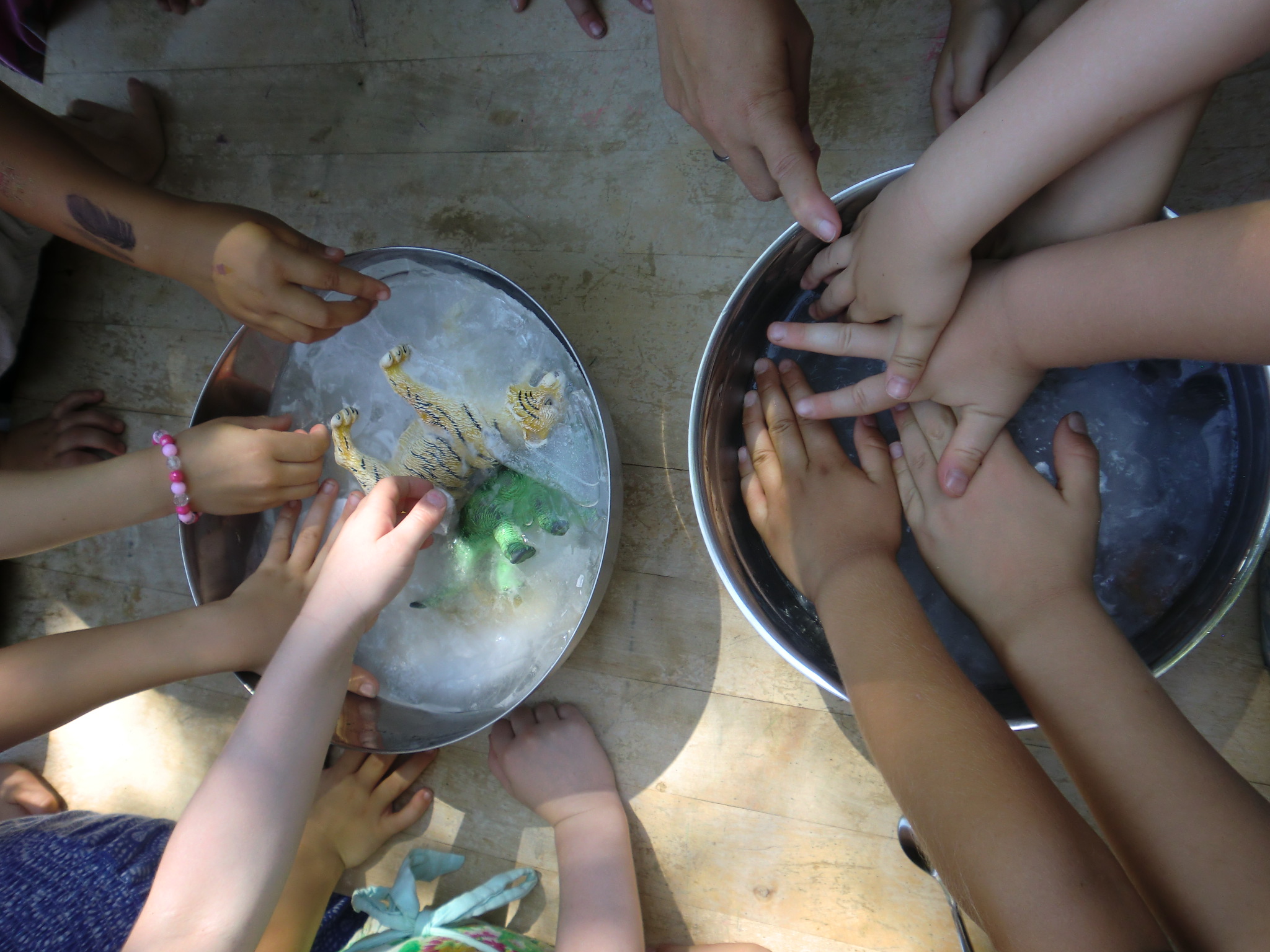 Schale mit eingefrorenen Schleichtieren, die von neugierigen Kinderhänden angefasst wird