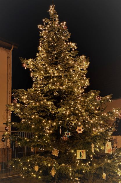 Weihnachtsbaum